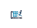 ceefconsulting.com